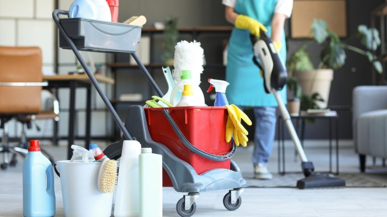 chariot de nettoyage professionnel